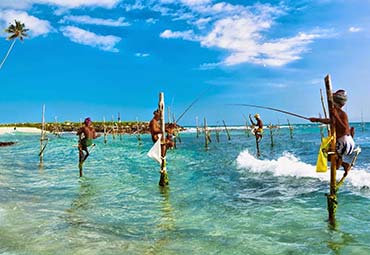 Stilt Fishing