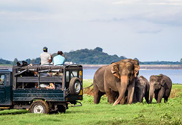 Jeep Safari Minneriya