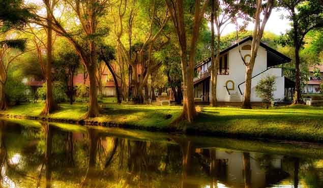 Accommodation in Habarana